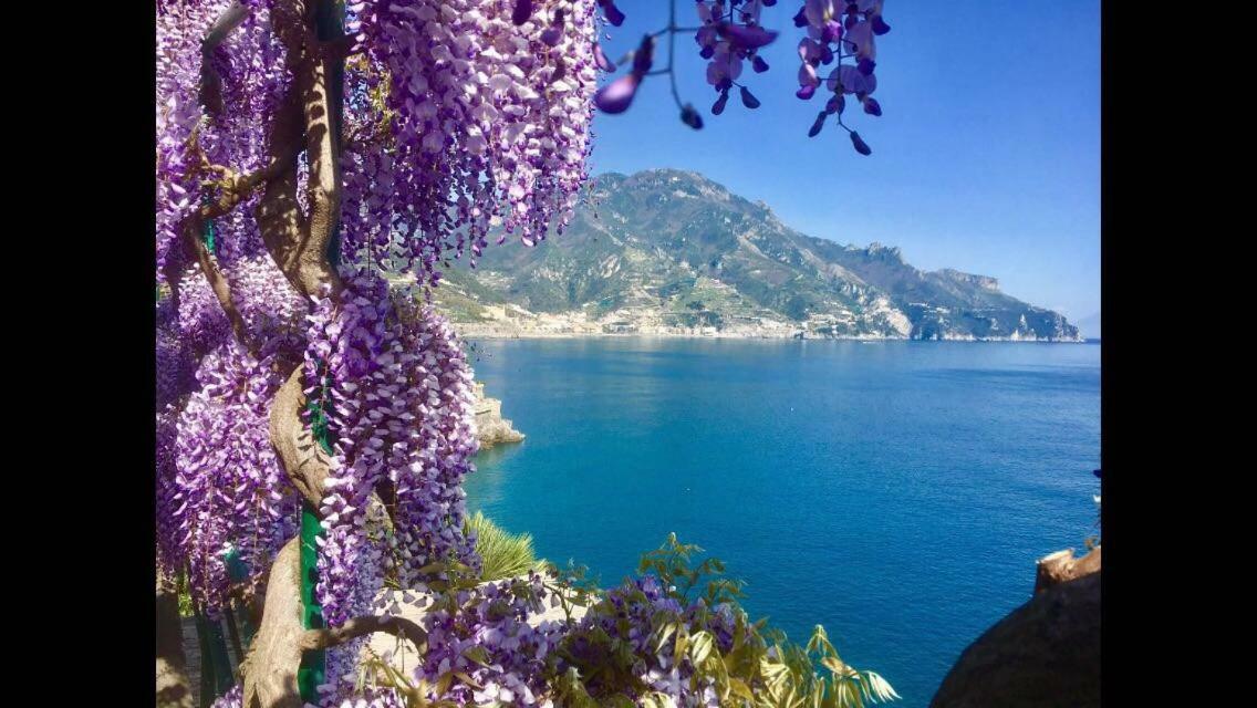 Villa Petit Ludovica Ραβέλλο Εξωτερικό φωτογραφία