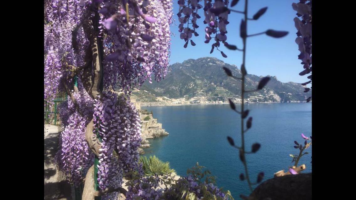 Villa Petit Ludovica Ραβέλλο Εξωτερικό φωτογραφία